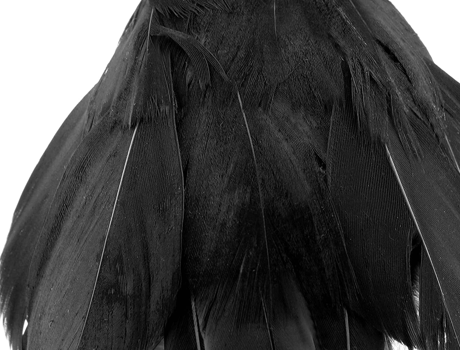 Cornucopia 4in Black Crows (6 Pack); Imitation Artificial Birds/Ravens for Halloween Decorations, Haunted House & Fall Seasonal Displays