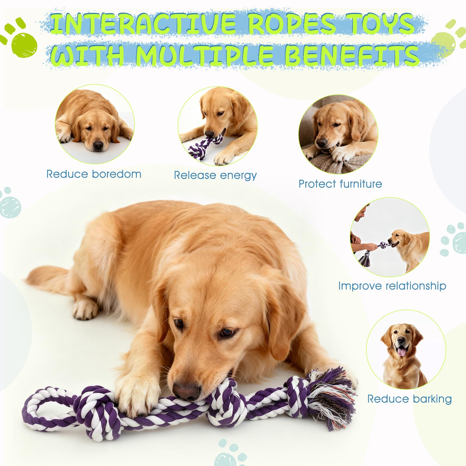 Waldseemüller Set di 4 giocattoli per cani, giochi per cani, giochi interattivi, pallina interattiva, pallina per cani di grossa taglia con una confezione regalo