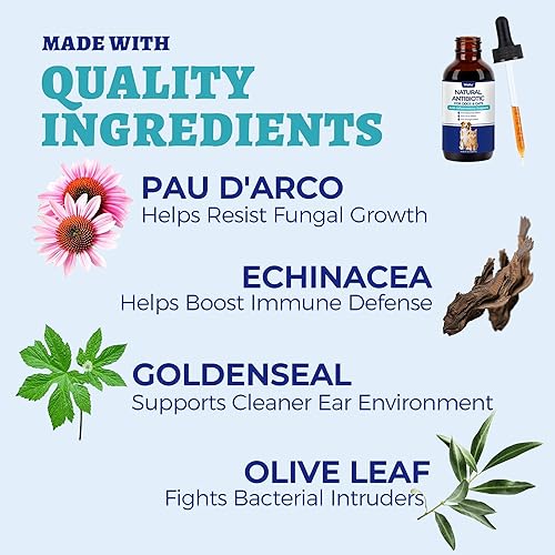 Miniatura 7 de Wellix Antibióticos naturales de 4.1 fl oz para gatos y perros, suplemento herbario natural para el cuidado de heridas, infecciones urinarias,