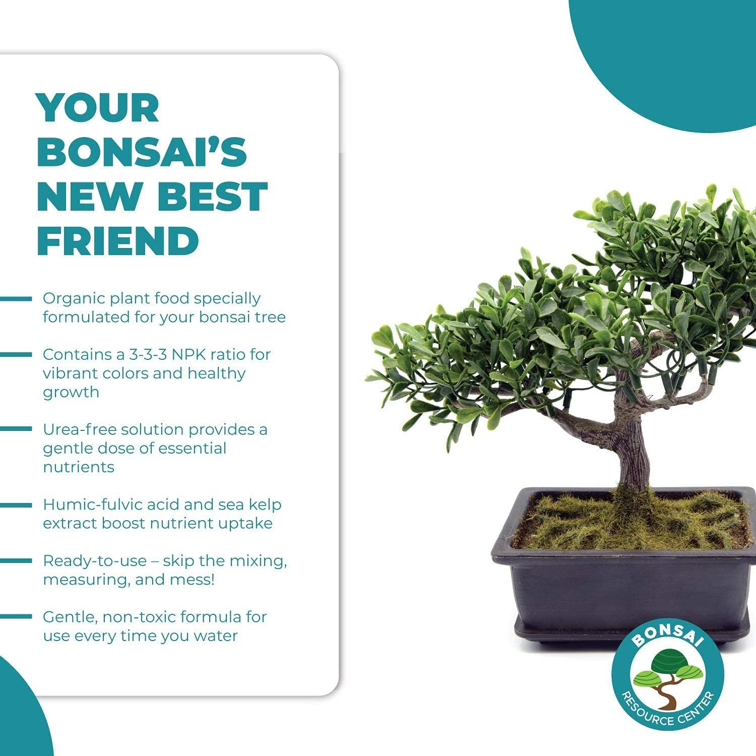 Bonsai Care Bundle