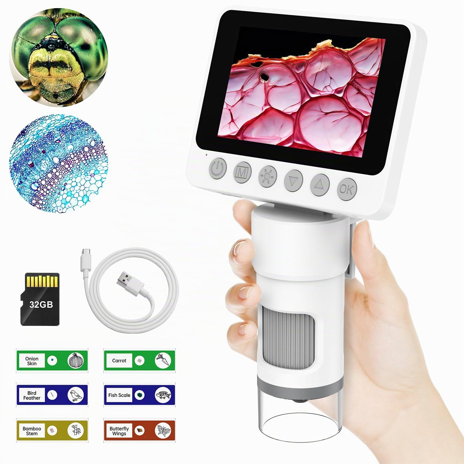 Microscopio tascabile digitale portatile per bambini, 1000X lente d'ingrandimento con luce per monete, gioielli, lettura, scienza, apprendimento