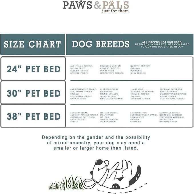 Cama para Perro Mediana Ortopédica miniatura 7
