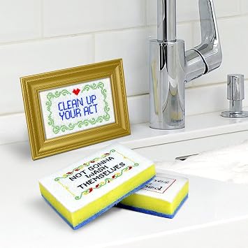 Genuine Fred Subversive Sponges, R Version, Embroidered Kitchen Sponges with Frame