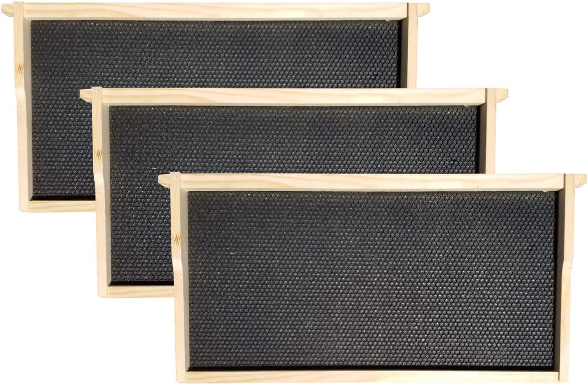 Amish Made in USA Complete Langstroth Beehive - The Starter Kit (Full Hive with 1 Deep & Accessories)