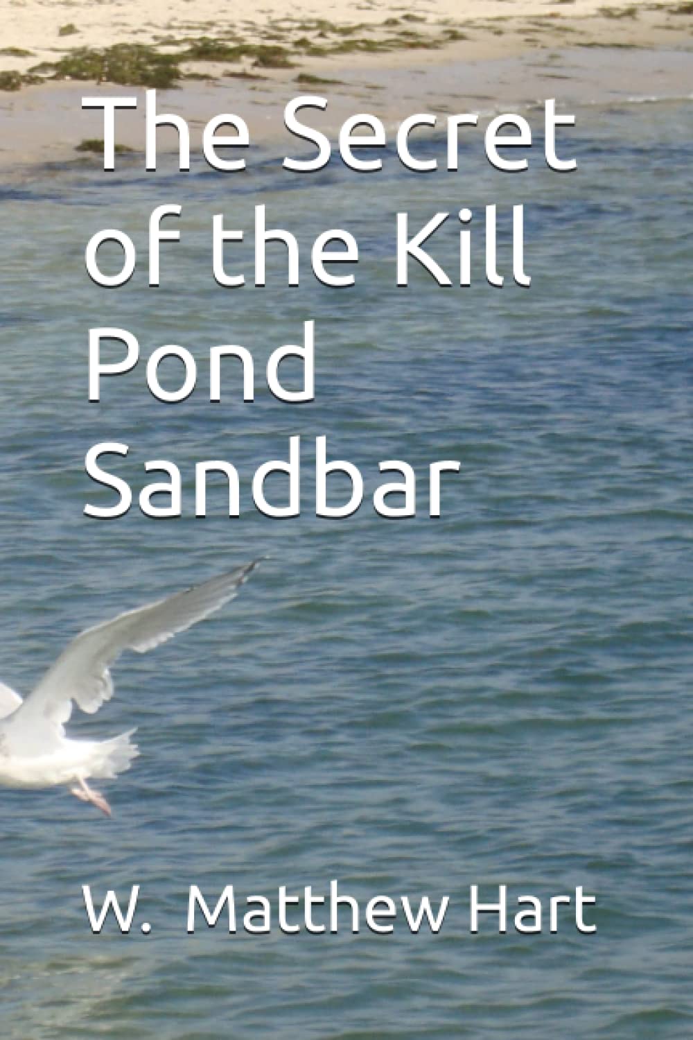 The Secret of the Kill Pond Sandbar