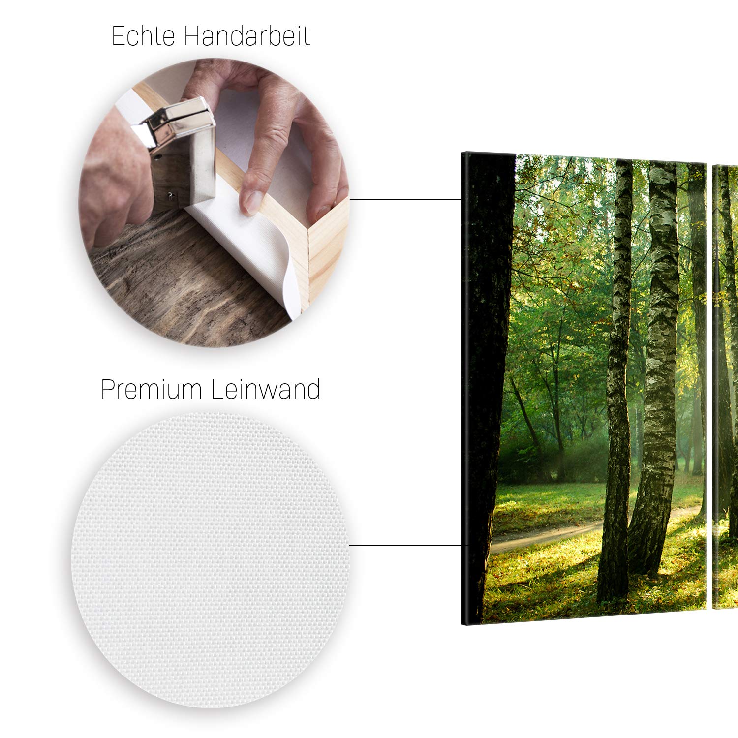 ge Bildet Bild auf Leinwand | Wald - natur blumen Wald Sonnenschein grün I in 165x100 cm mehrteilig als Wandbild XXL | Wand-deko Dekoration Wohnung modern Bilder | 2213