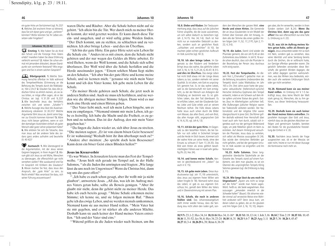 Die Gruppenbibel: Hoffnung für alle - Neues Testament - durchgehend erklärt