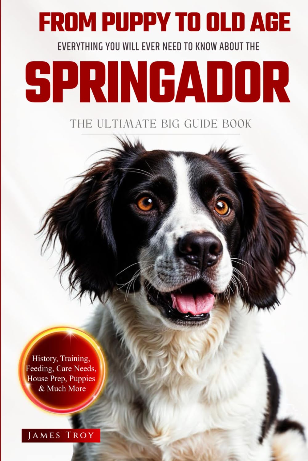 The Ultimate Springador Big Guide: Everything You Will Ever Need To Know About The Springador Book