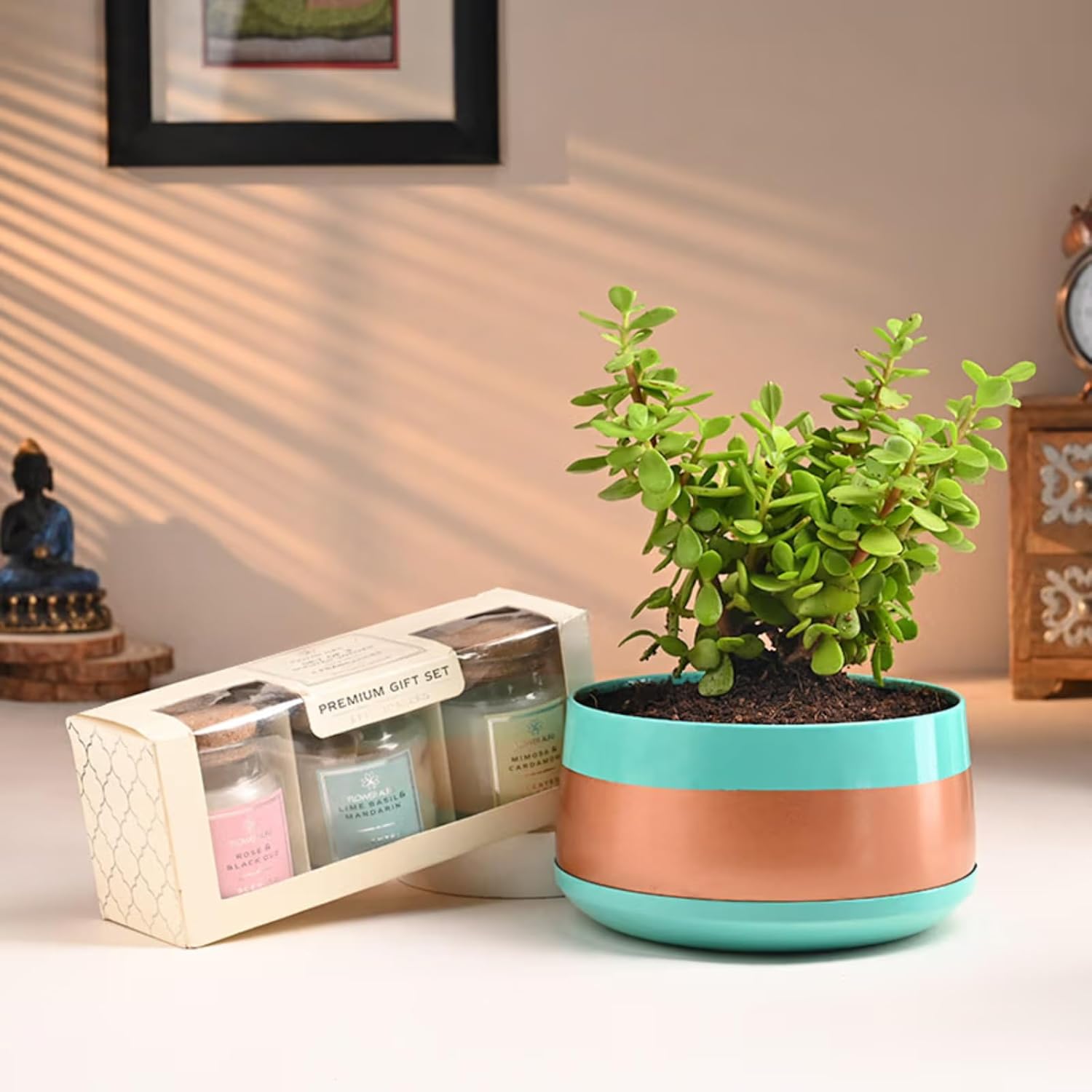 FlowerAura Air Purifying Live Indoor Jade Plant In Metal Pot With Candle Set For Living Room, Balcony, Bedroom, Home/Office Decor, Birthday Gift, Anniversary Gift, Diwali Gift (Same Day Delivery)