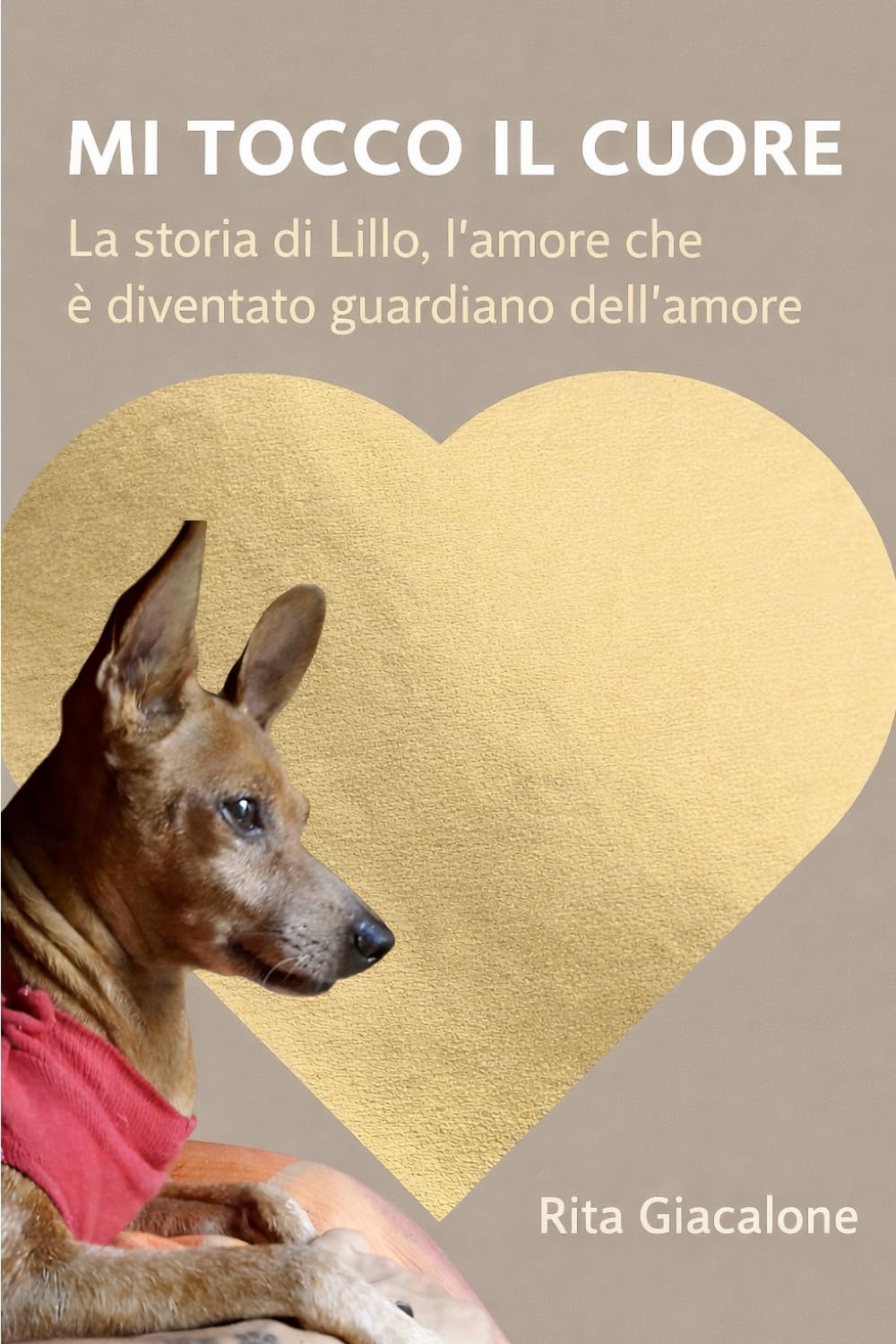 Mi Tocco Il Cuore: La storia di Lillo ,l'amore che è diventato guardiano dell'amore