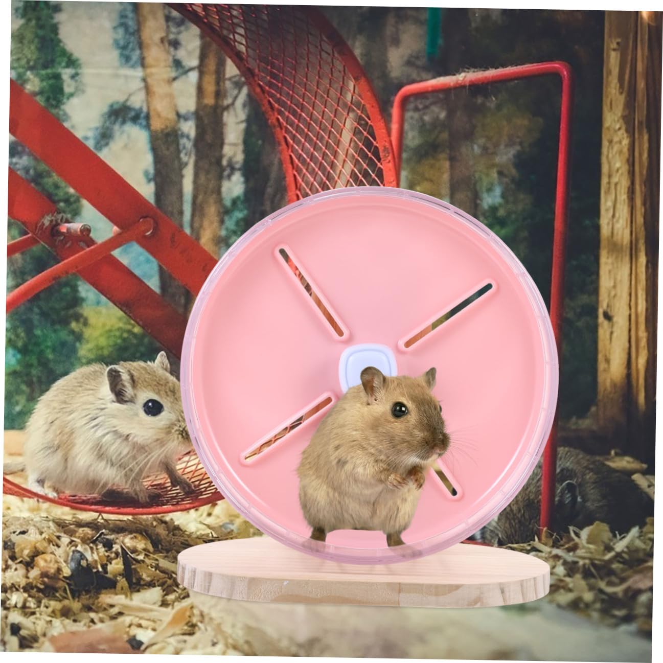 Leises Hamsterrad mit Holzsockel, 20cm, 1 Satz für Hamster