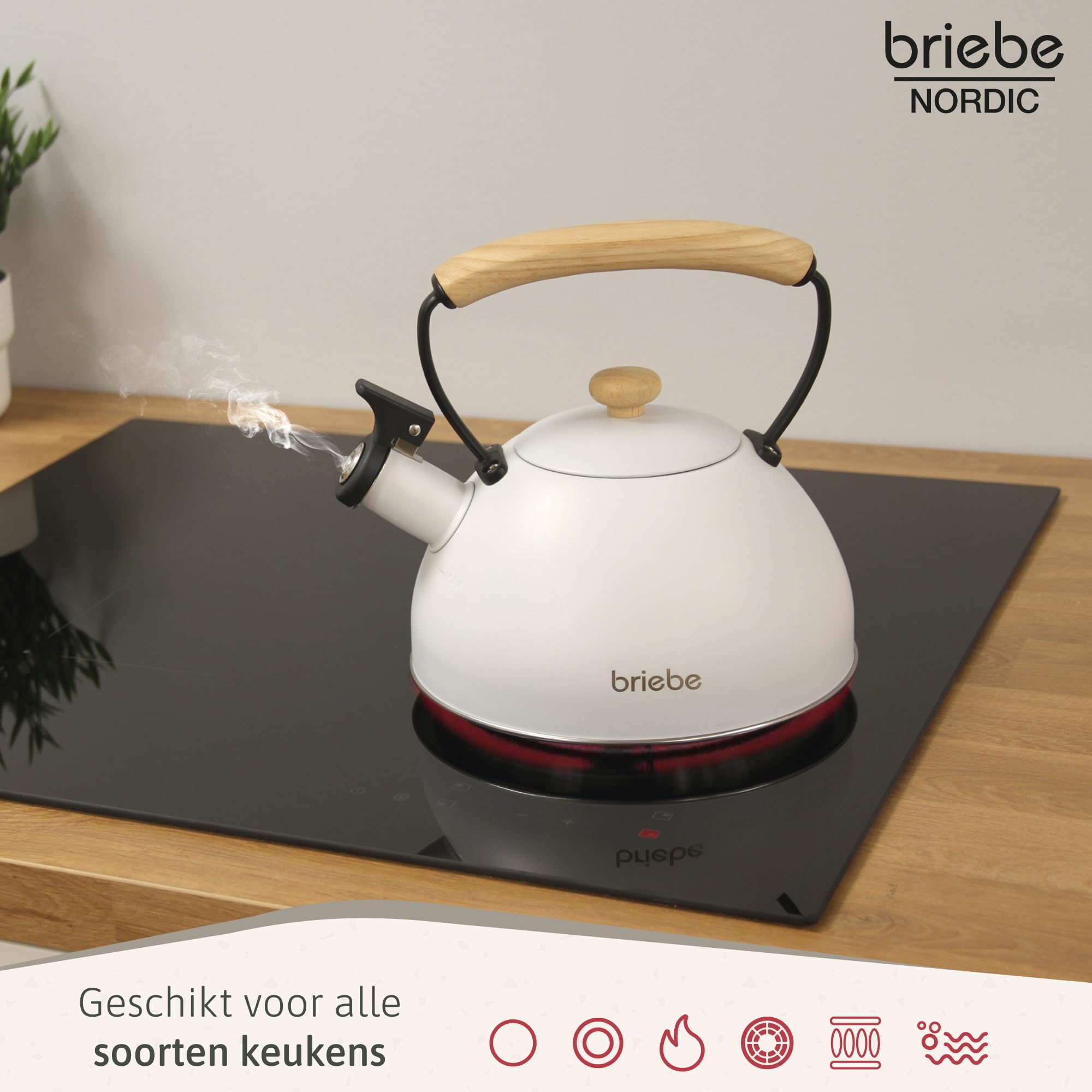 briebe Nordic Kettle Induction, Whistle Kettle 2.3 L, Stainless Steel, Wooden Handle Cool-Touch Teapot Kitchen, Glass Ceramic Hob, Gas, Electric Hob, Vintage Teapot, Black