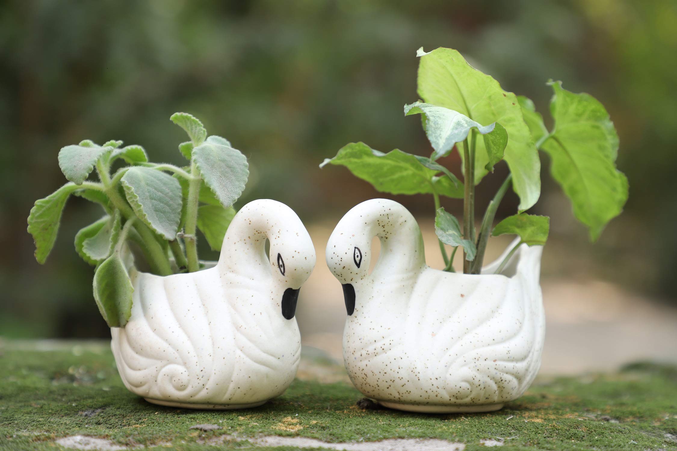 Lyallpur Stores Ceramic Pots for Plants Swan Shape - Small Size (White Color, 6 cm) Ceramic Planters for Indoor Plants, Living Room. [Plant Not Included, Pack of 2] (B08Q86PL6Z) Amazon Price History, Amazon Price Tracker