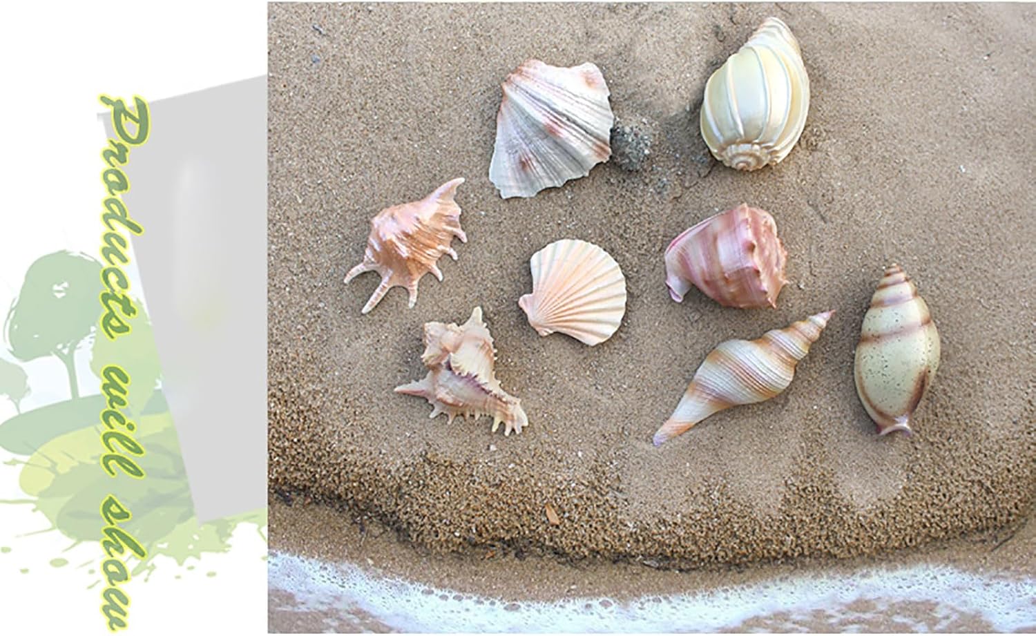 Sea shells,conch shell, Shell Decor for Beach Theme Party Wedding Home Decor DIY Crafts Fish Tank