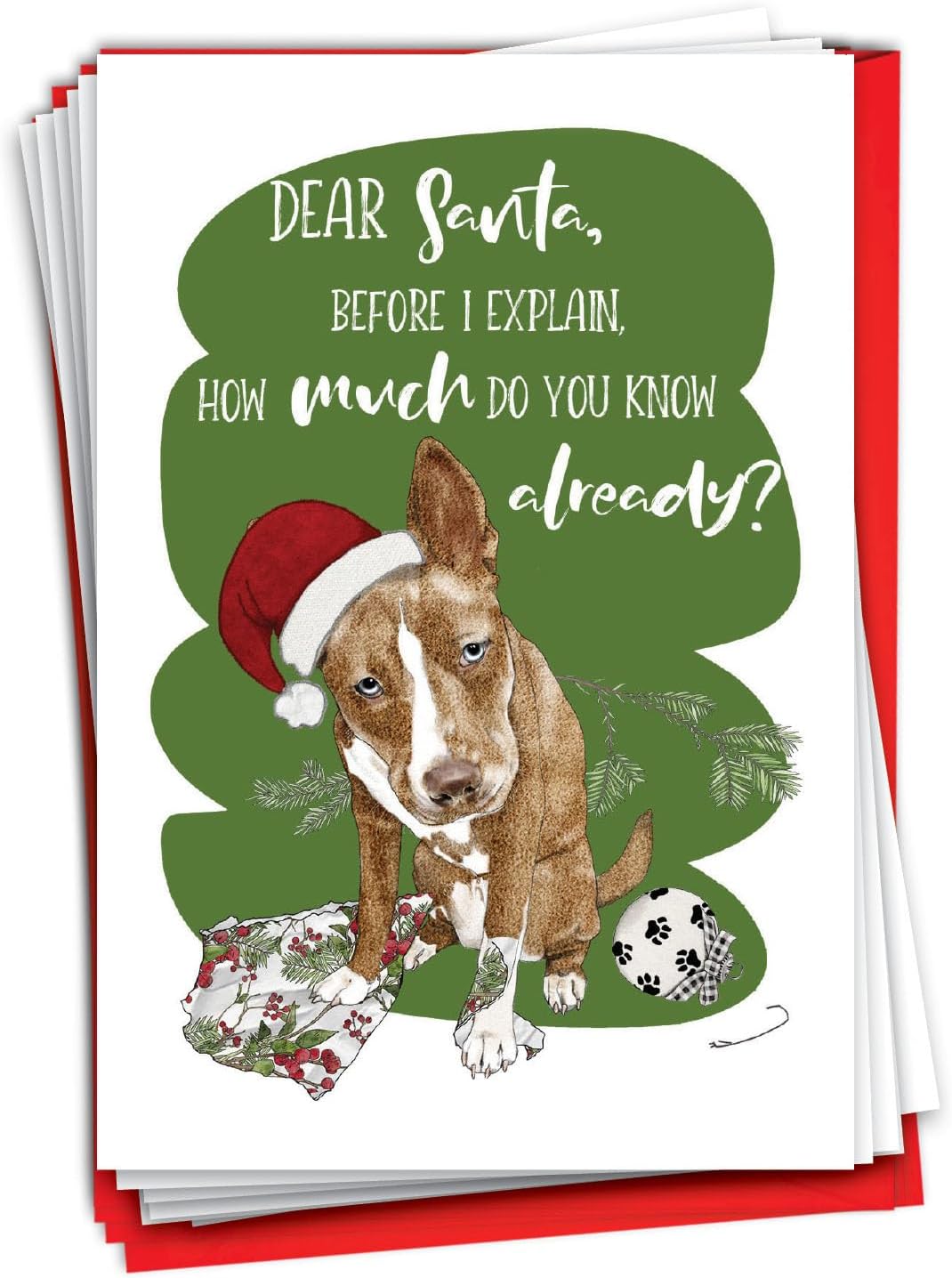 NobleWorks 12 Christmas Greeting Cards Bulk Box Set w/ 5 x 7 Envelopes (1 Design, 12 Each) Holiday Dog Days C10783BXSG-B12x1