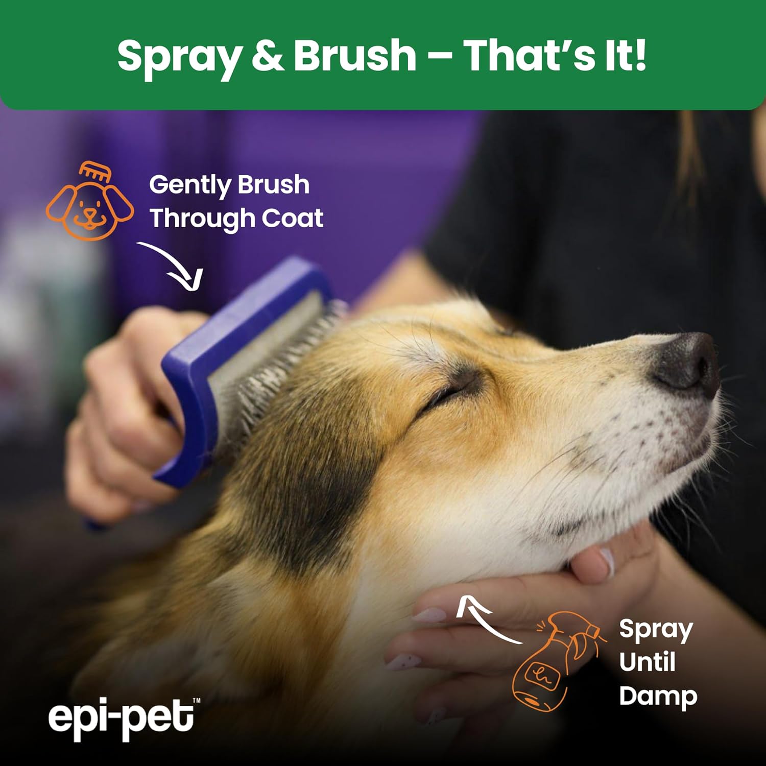 Epi-Pet Veterinary Formulated Dog Hot Spot and Dog Itch Spray, Pet Skin Treatment Spray for Allergies, Deshedding and Redness, Use it as Skin and Coat Conditioner(16 Fl Oz (Pack of 2), Unscented