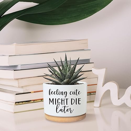 Miniatura 5 de Divertida maceta para suculentas, bonita maceta pequeña de cerámica de 3.5 pulgadas con drenaje, maceta de escritorio de oficina en casa para