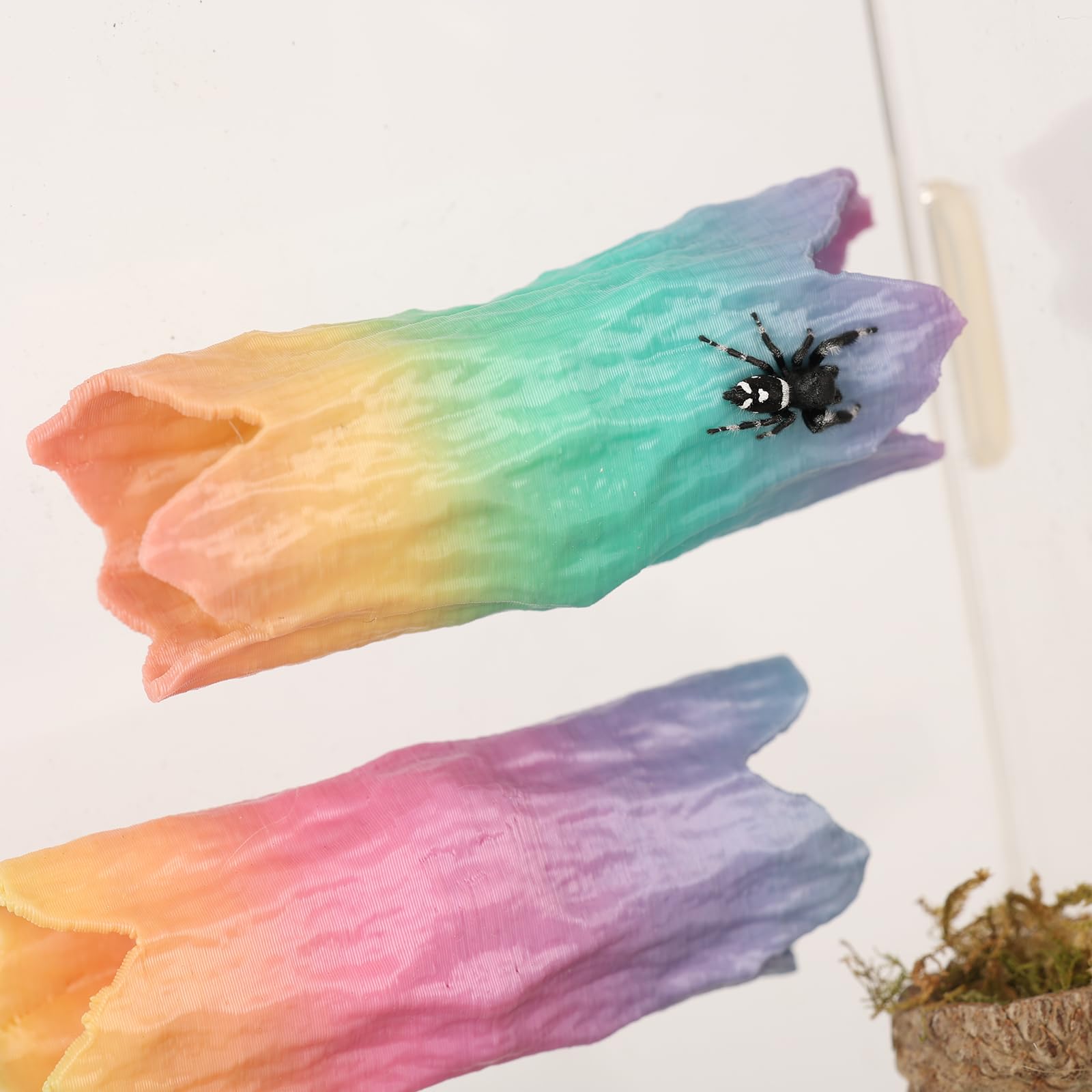 Daerky Jumping Spider Hide - habitat decor | Mubboo