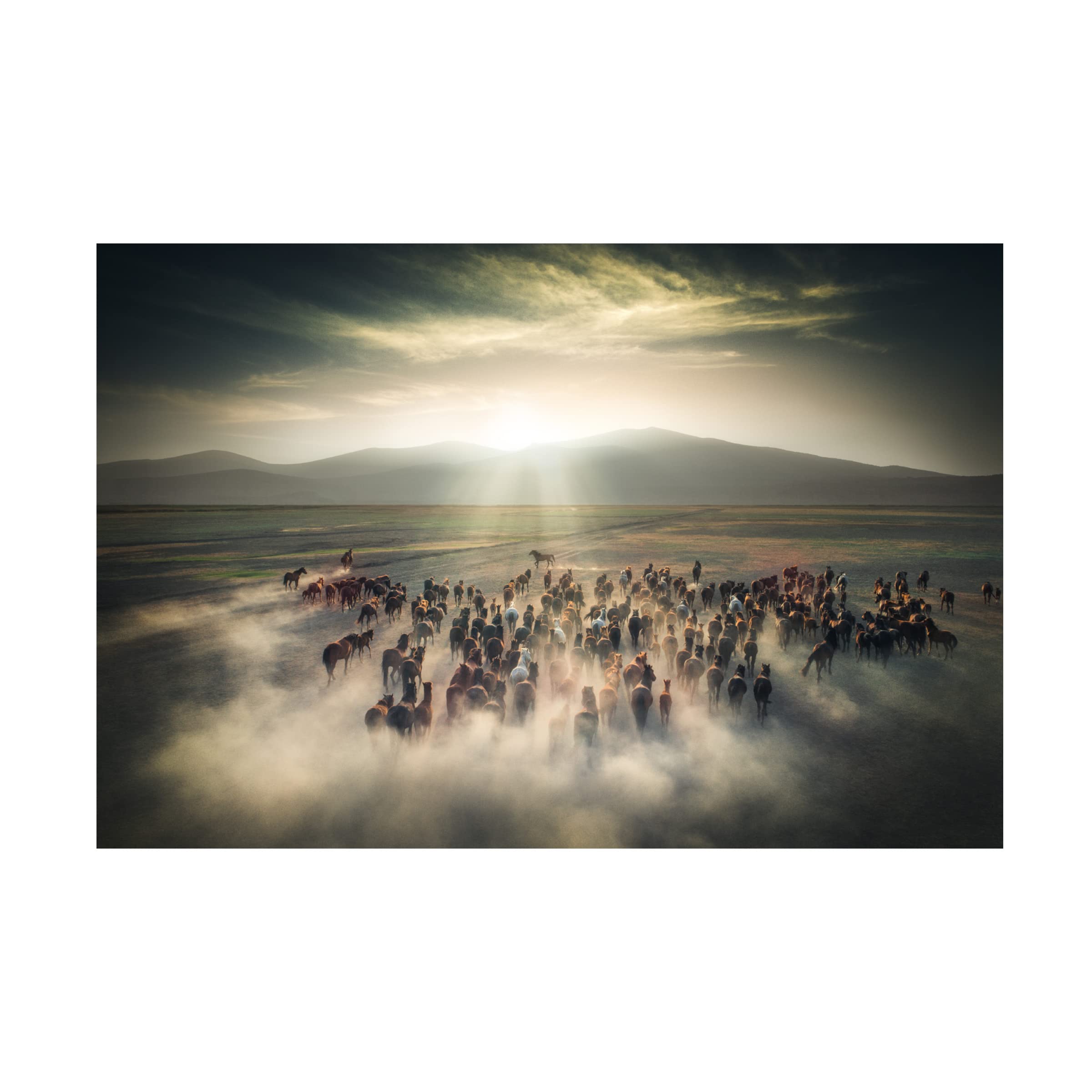 Cuma Cevik 'Wild Horses' Canvas Art