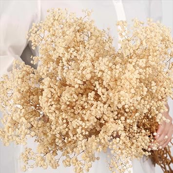Dried Babys Breath Flowers Bouquet-17 Inch 5000+ Ivory White Dry Flowers, Natural Gypsophila Branches for Wedding, Table Vase Decor, DIY Wreath Floral, Home Office Party Garden Decoration 6OZ
