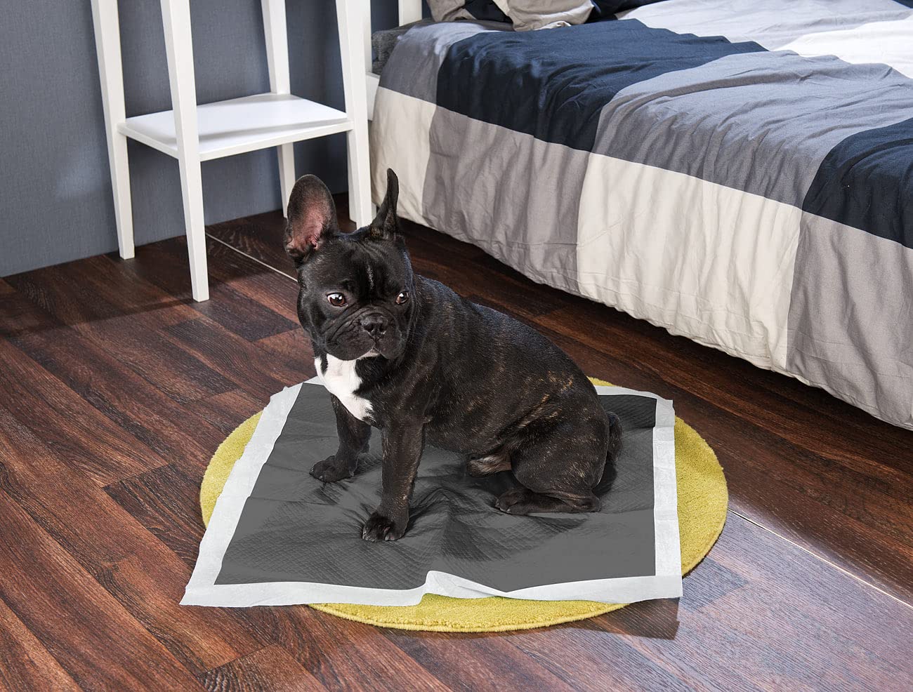 Trainingsmatten für Hund: 180er-Set Welpen-Trainingsunterlagen mit Kohlenstoffschicht, 60x60 cm (Haustier-WC, Einmalunterlage Hund)