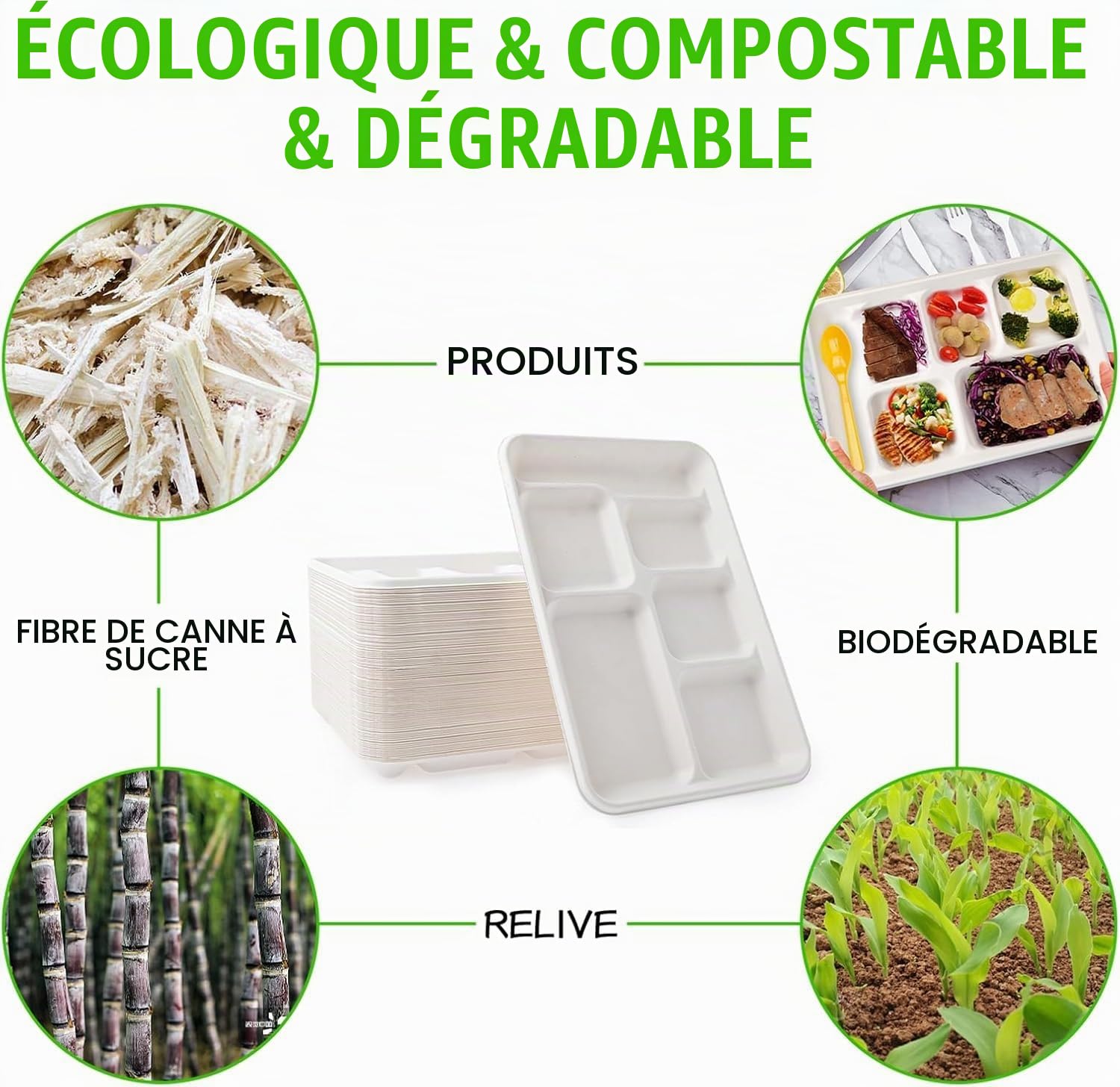 MALLOOM 100 Assiettes Jetables à 6 Compartiments, 30 cm Assiettes Compostables en Fibre de Canne à Sucre, Plateau Repas Résistant pour Cantine Scolaire, Fête, Buffet, Dîner (Passe au Micro-ondes)