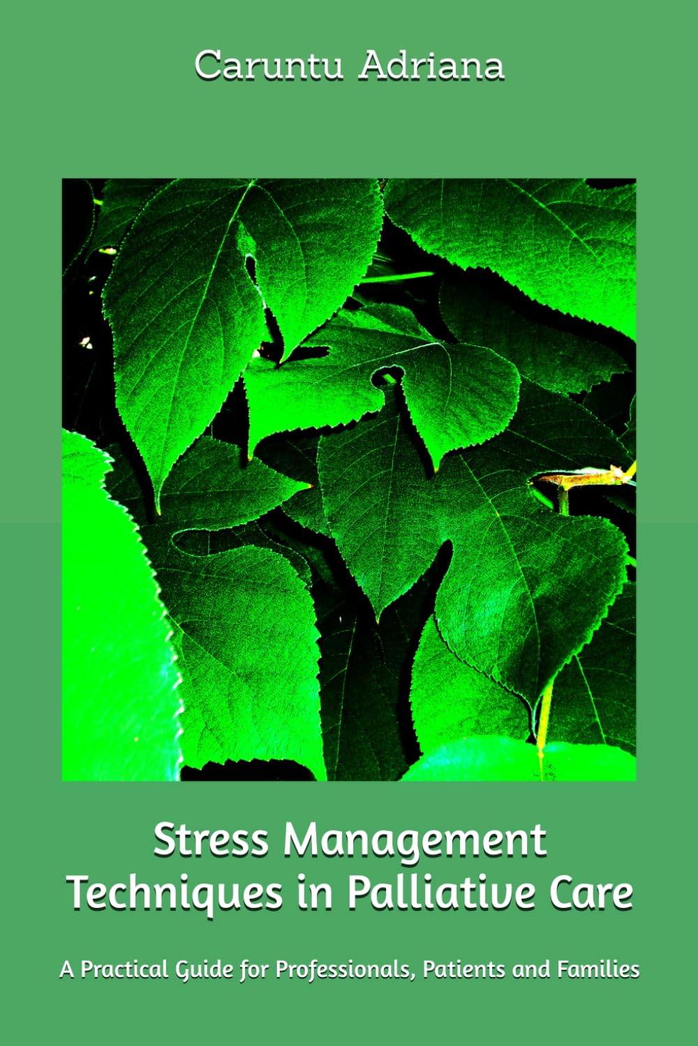 Stress Management Techniques in Palliative Care: A Practical Guide for Professionals, Patients and Families (Palliative education)