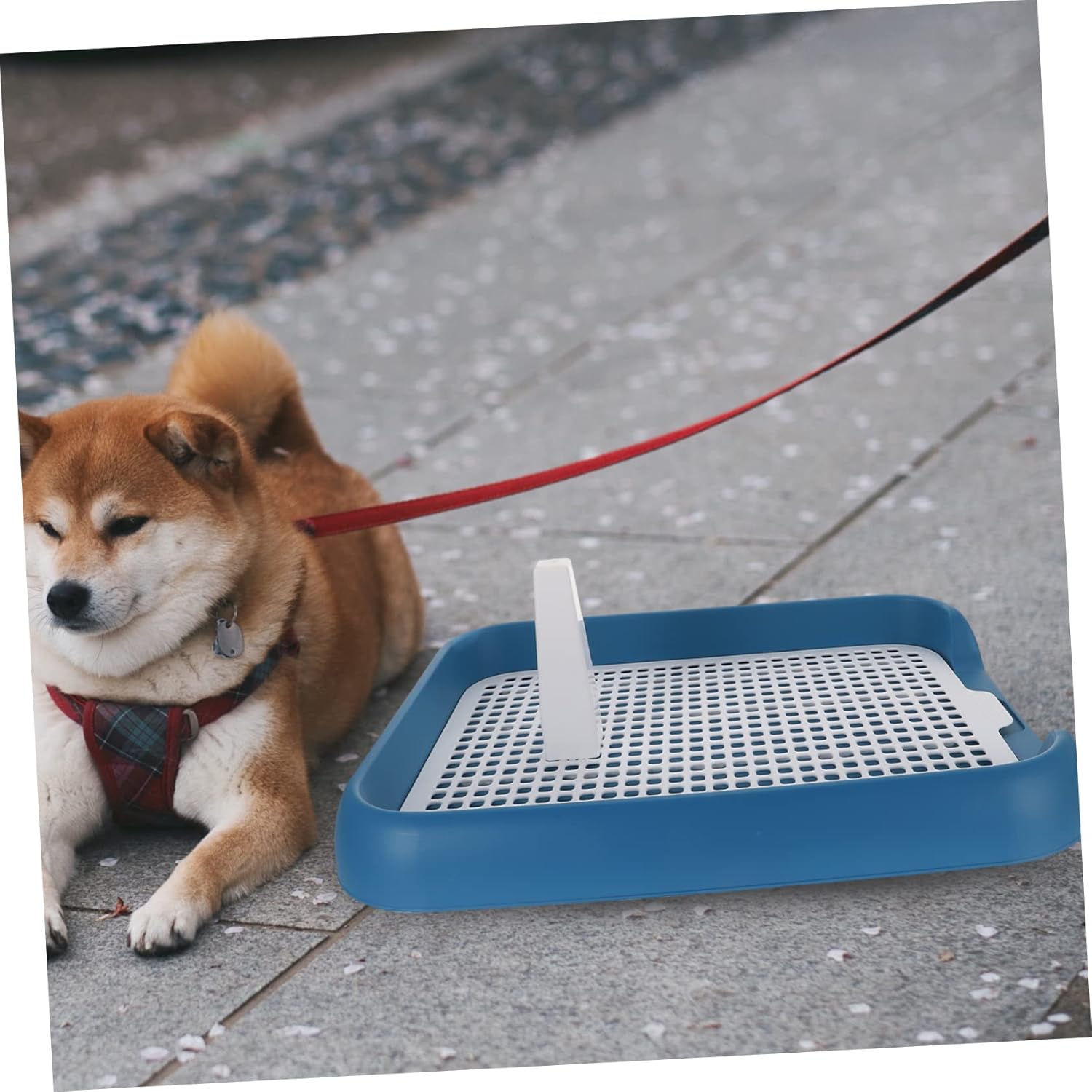 Kichvoe Indoor Dog Potty Training Tray with Non Slip Slide Design Leak Raised Edges and Urination Habit Simulation for Small to Large Dogs Plastic Pet Toilet Potty Station