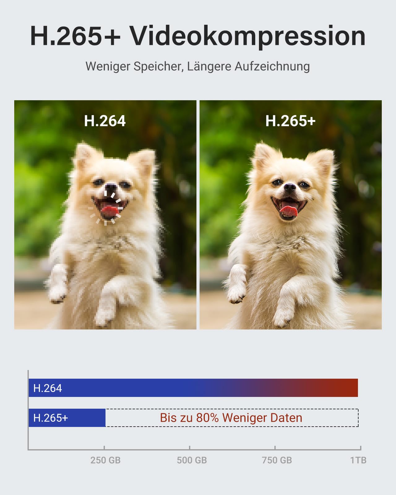 ANNKE 5MP Überwachungkamera Set Aussen mit Person- und Fahrzeugerkennung | 3K Lite 8CH CCTV DVR Recorder mit 2TB Festplatte, 8x Kabelgebundenes Analog Kameras Videoüberwachung, 30M IR Nachtsicht, IP67