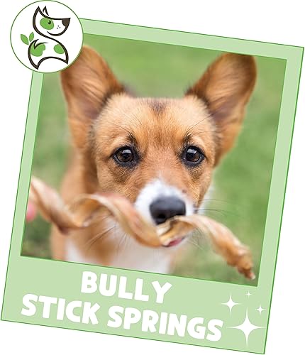 Miniatura 6 de Nature Gnaws Bully Stick Springs para perros, huesos dentales de carne natural de primera calidad, golosinas masticables rizadas de larga duración