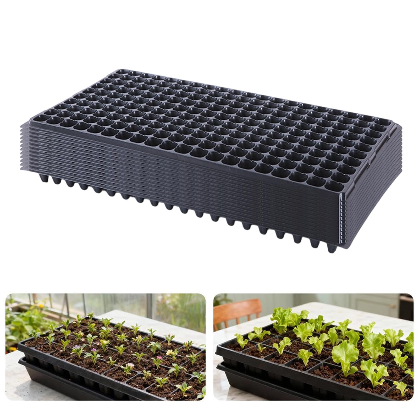 12 Pezzi vassoi per piantine da con griglia e Foro di drenaggio, vassoi per microgreens, vasi di avviamento per piantine di, 200 Celle
