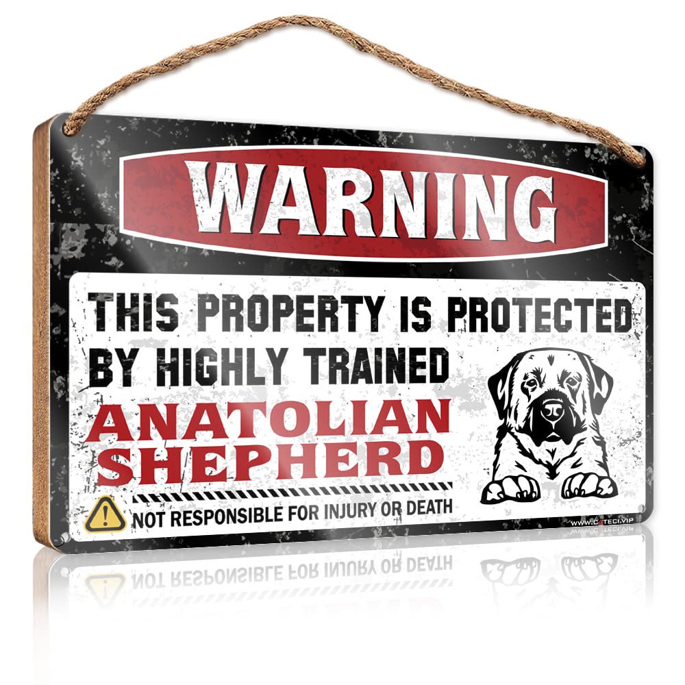 Dtha One Color Farm Hanging Door Sign Warning This Property Is Protected By A Highly Trained Anatolian Shepherd Wooden Sign Work From Home Door Sign Signs For Home Decor(15X28cm)