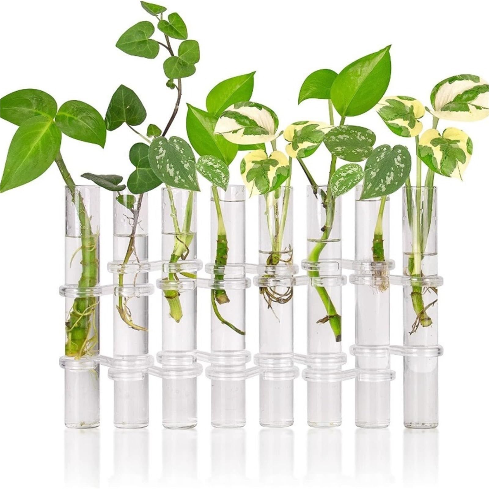 8 Stücke Blumenvase Klarglas Reagenzglas Hängen Blumenhalter for Container Zimmer Büro Esstisch Wohnkultur Für Haushalt Wohnen