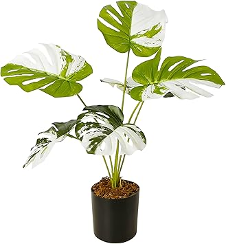 Amazon Treeish Decor 人工植物 ミニ卓上盆栽 12インチ 人工モンステラアルボ シルクの熱帯植物 屋内 屋外 家庭 オフィス 緑色の装飾 4インチの黒いポット付き リアルなデザイン 花 観葉植物 オンライン通販 Amazon Treeish Decor 人工植物 ミニ卓上盆栽 12インチ 人工モンステラアルボ シルクの熱帯植物 屋内 屋外 家庭 オフィス 緑色の装飾 4インチの黒いポット付き リアルなデザイン 花 観葉植物 オンライン通販