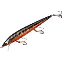 Smithwick Lures Floating Rattlin Rogue Fishing Lure