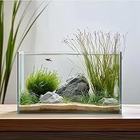 Vimvins 3 Gallon Frameless Glass Fish Tank - Easy Clean Betta Goldfish Snail Shrimp Aquarium for Beginners
