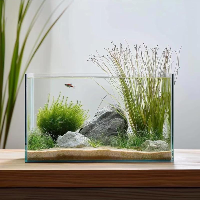 Aquário de vidro sem moldura Vimvins para peixes e plantas aquáticas, 11,36 L