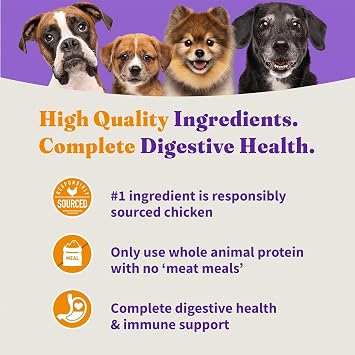 Halo Holistic Dry Dog Food, Cage-Free Chicken & Brown Rice Recipe, 21 lb | Natural Ingredients, Healthy Grains, Complete Digestive Health, Kibble for Adult Dogs
