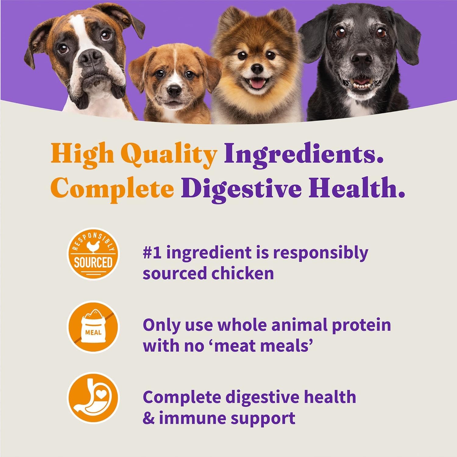Halo Ganzheitliches Hundefutter, Komplette Verdauungsgesundheit, getreidefrei, käfigfrei, Rezept für Huhn und Süßkartoffel, Trockenfutterbeutel, Seniorenformel, 1,6 kg Beutel