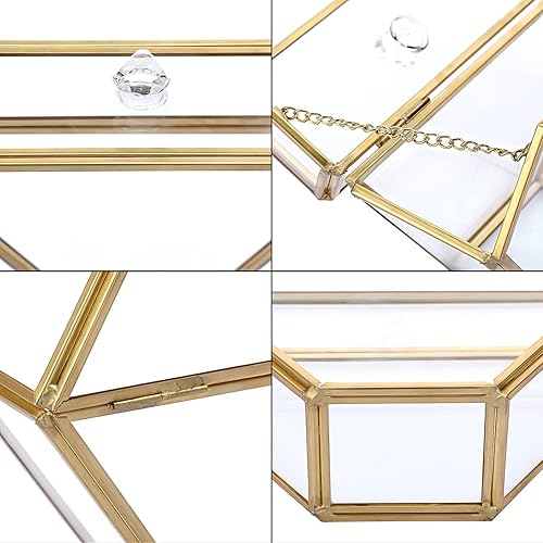 Miniatura 4 de ELLDOO Soporte de filtro de café de vidrio dorado, contenedor de almacenamiento de papel de café, estante dispensador de papel con tapa a prueba de