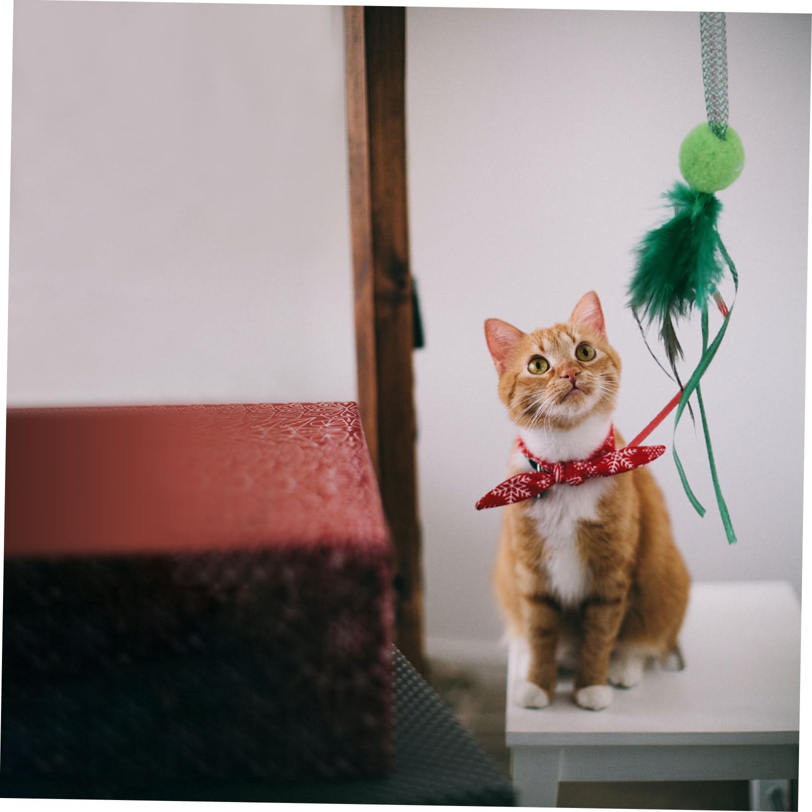 Toddmomy 9pièces Jouets Interactifs pour Chats Jouet De Noël avec Cataire Et Cloche Teaser pour Chat Amusant Et Festif