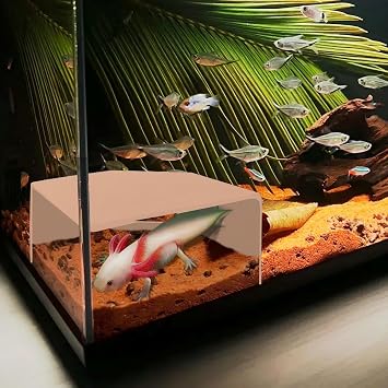 Shrimp Cave for Aquarium Tanks Durable Fish Tank Decor, Natural Hideout for Ghost Shrimp, Fry, and Nano Fish Easy to Clean