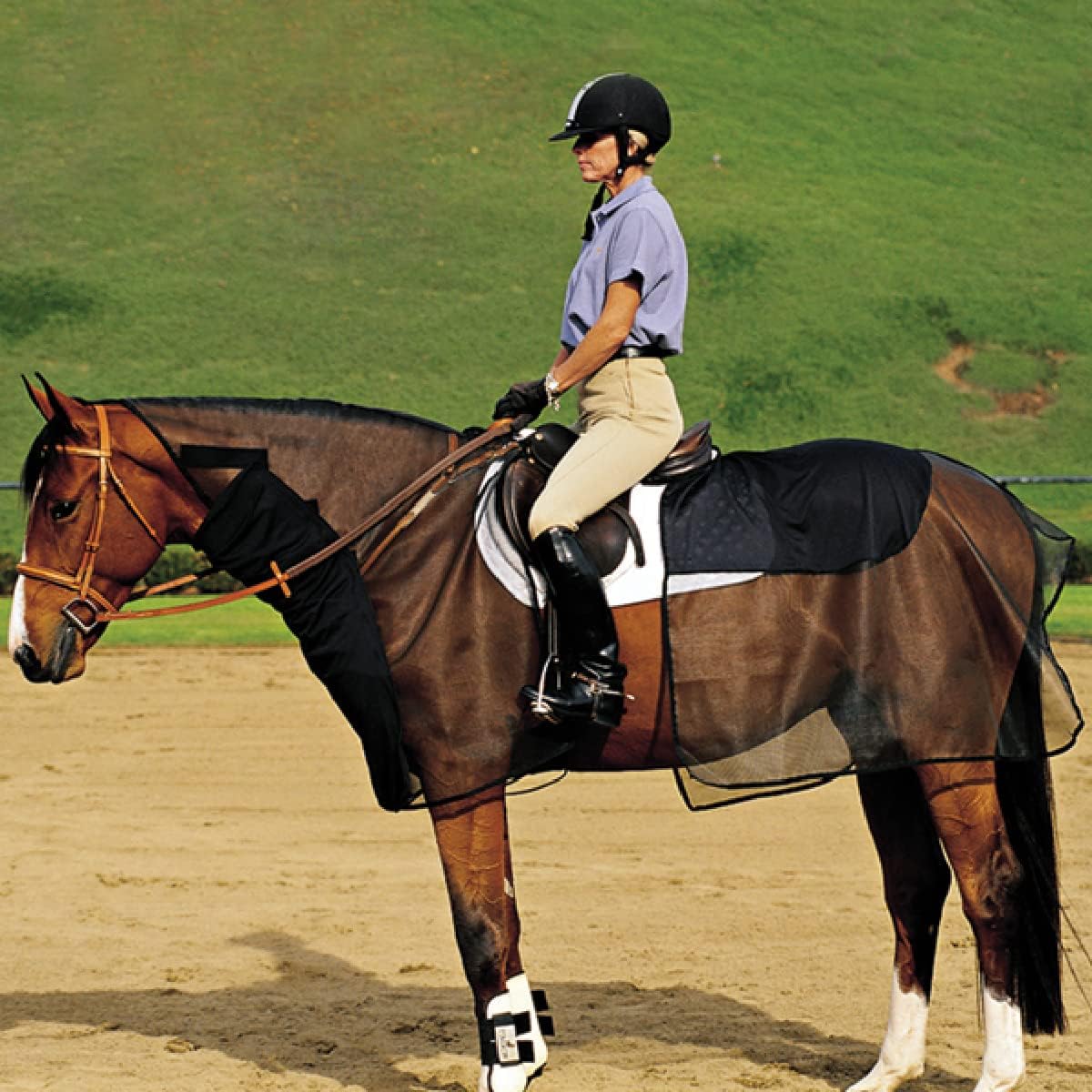 7 Best Fly Sheets For Horses Best Horse Rider