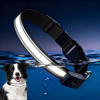 Leuchthalsband Hund - 1600FT Super Helle LED Halsband Hund - Magnetisch Wiederaufladbar - Wasserdichtes Strapazierfähig Verstellbar Leuchthalsband für Kleine und Große Hunde (Schwarz, L (15-20in))