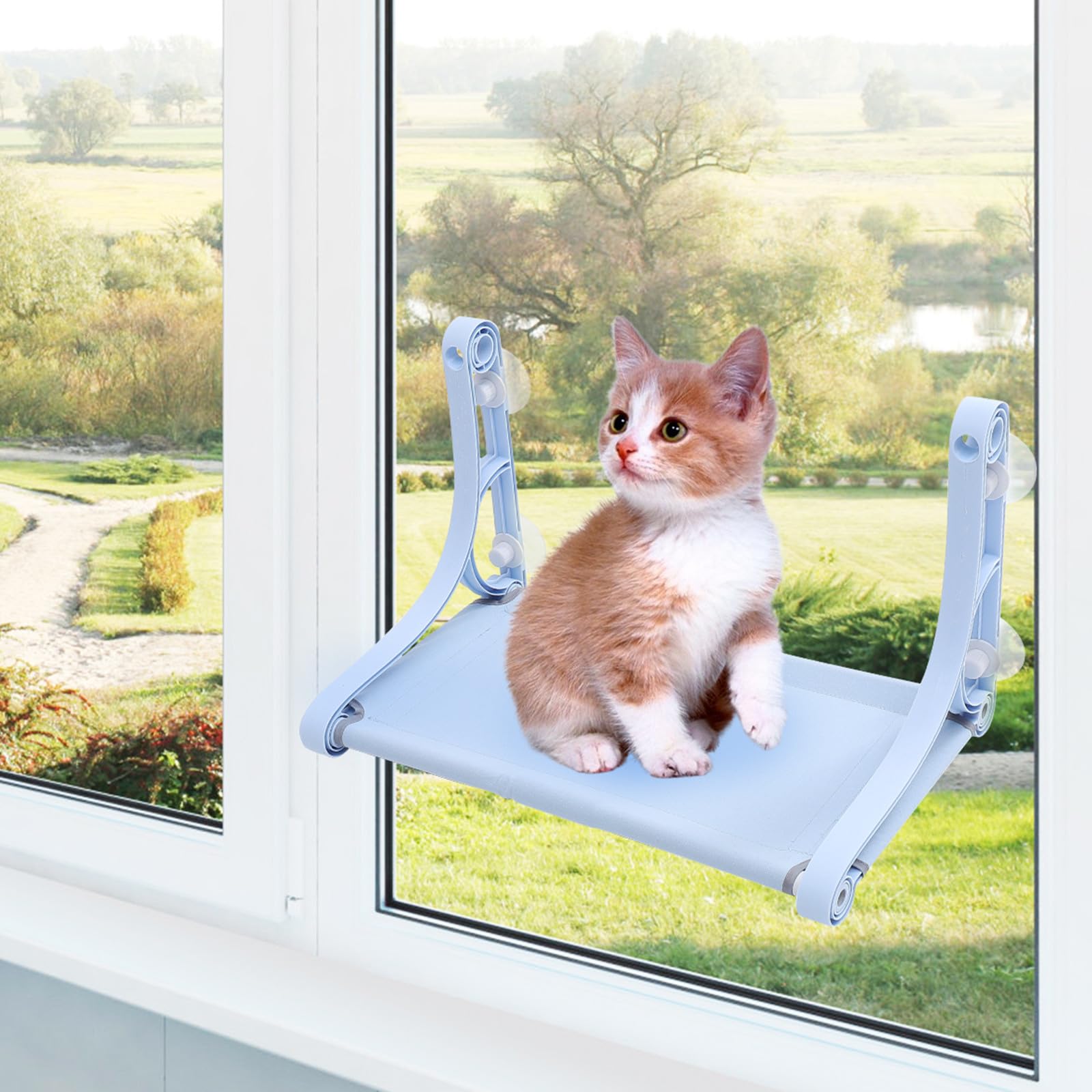 Tofficu Amaca per Gatti da Interno in Resina Pp e Tela Blu, Amaca Sospesa Creativa e Confortevole per Riposo del Gatto in Casa e Decorazione della Gabbia