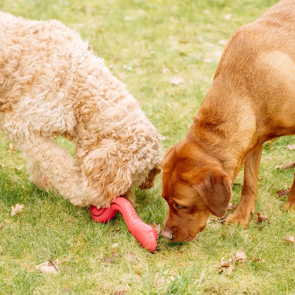 Nobby TPR Snake Dog Chew Toy, Medium Breed, Pink, 42cm