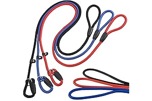 Cesar Millan Slip Lead Dog Leash