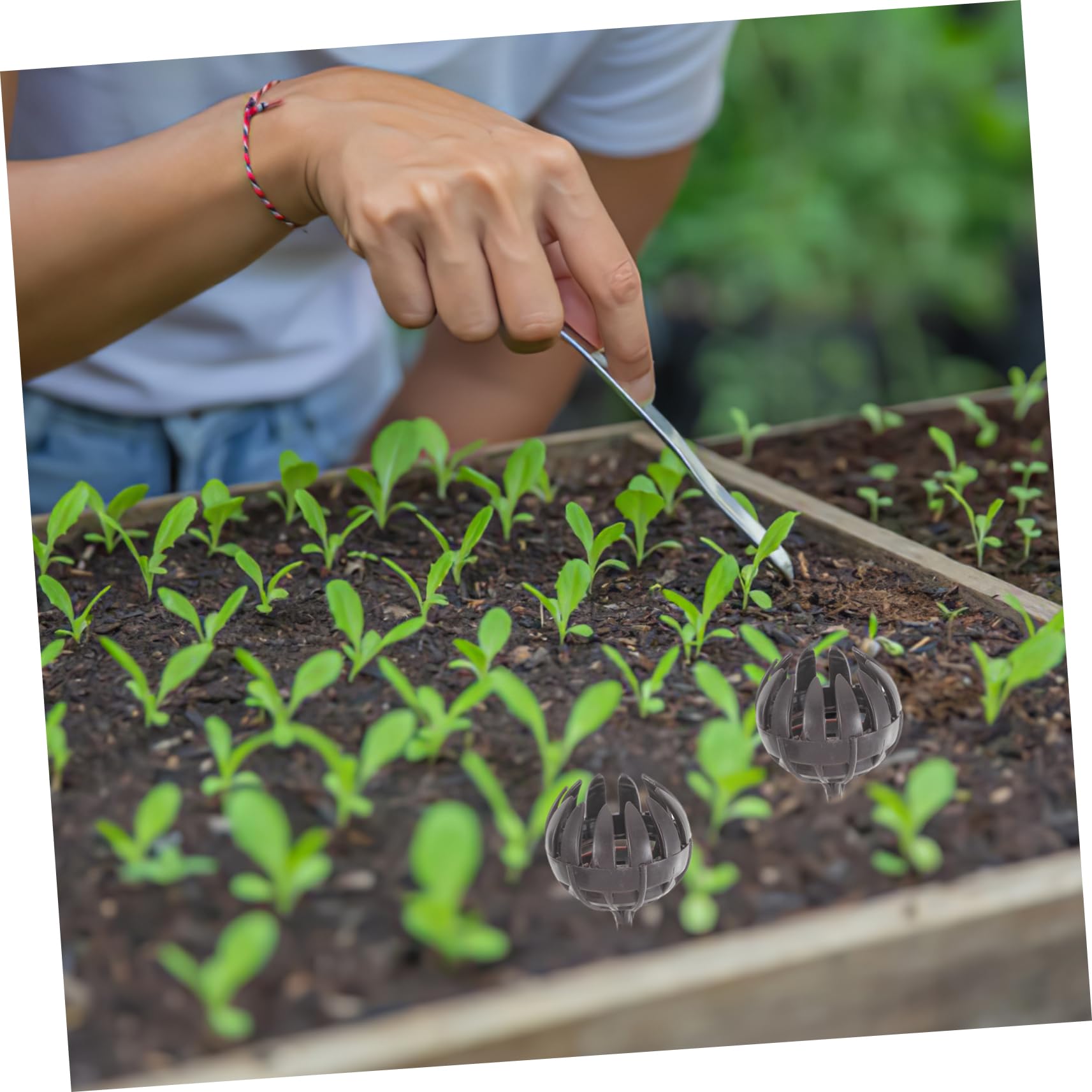 Sosoport 5 Ensembles Boîte À Engrais Plantes Gadget De Fertilisation Bonsaï Panier D'engrais Pour Bonsaï Conteneur De Fertilisation Outil De Fertilisation Bonsai Plastique 30 Pièces * 5