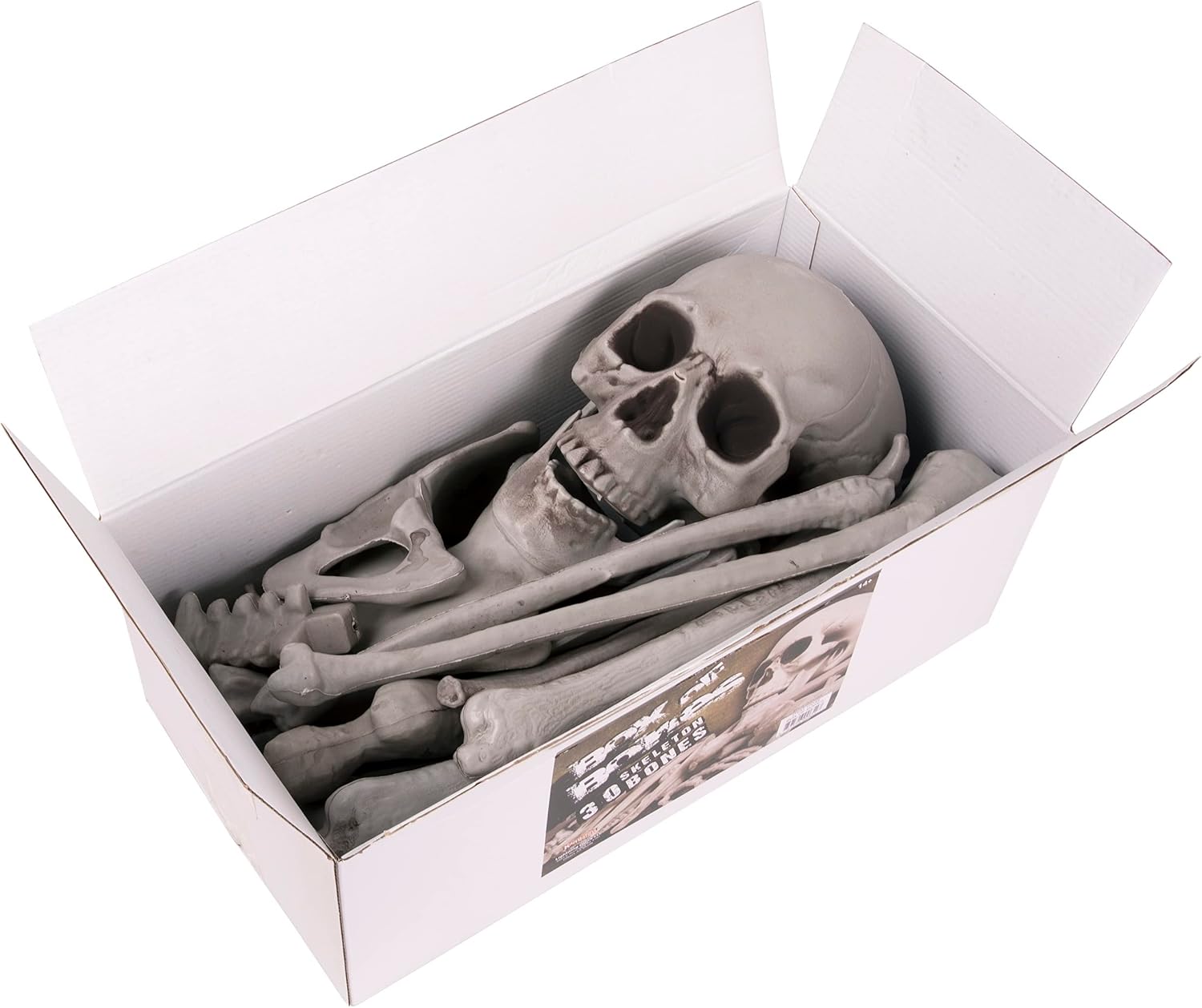Kangaroo Skeleton Bones with Skull – Bag of Bones for Creepy, Spooky Halloween Bone Decor – Bag of Plastic Bones – Box of Fake Skeleton Bones and Skull for Graveyard Ground Decor (30 Pieces)
