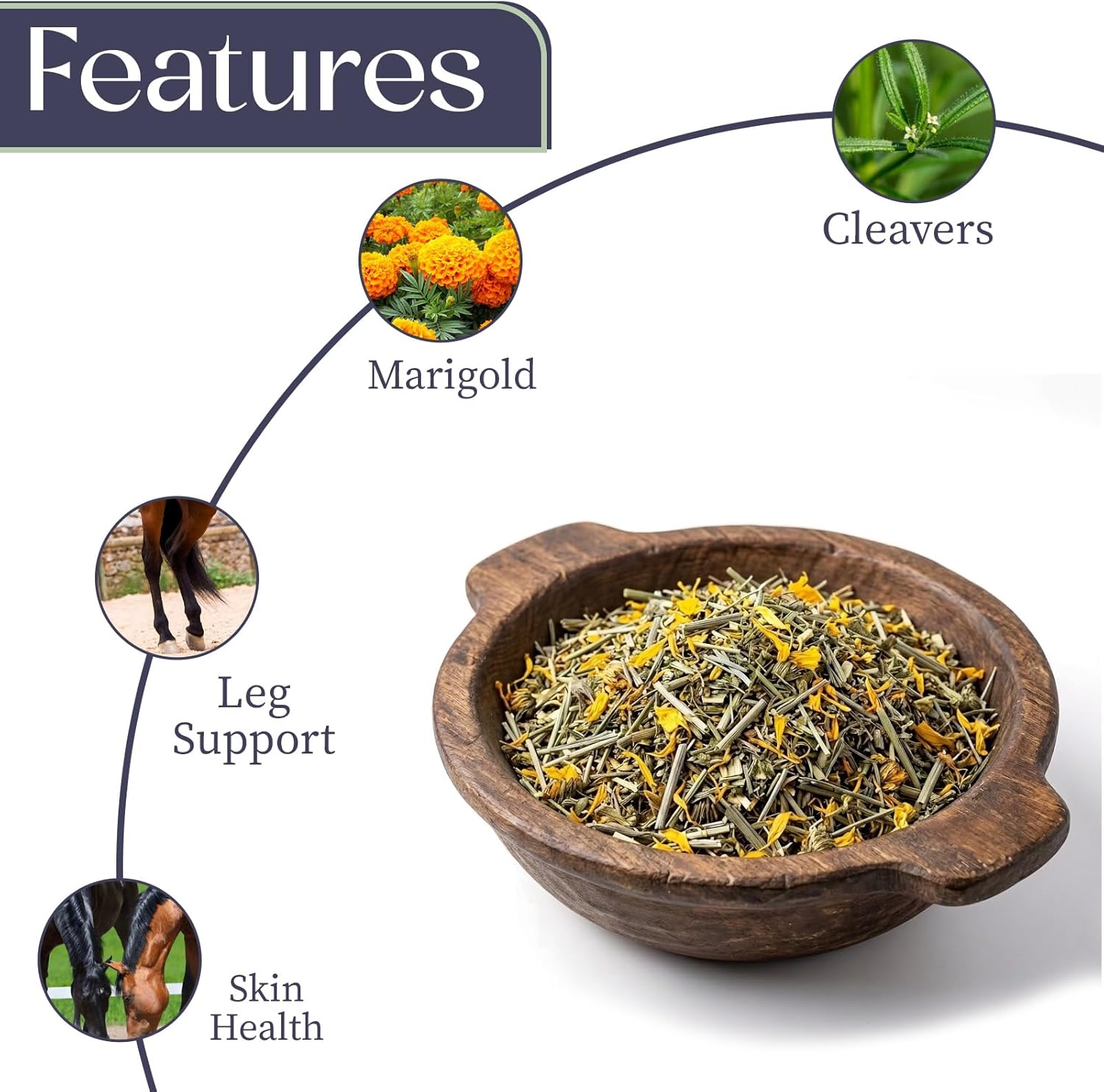 Hilton Herbs Cleavers & Marigold Lymphatic Support Horse Supplement, 1.65 lb Bag – Herbal Blend for Horses & Ponies, Supports Healthy Legs, Skin & Coat